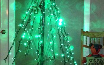 Umbrella Tree