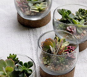 this adorable table setting doubles as a take home gift, flowers, gardening, seasonal holiday decor, succulents, terrarium