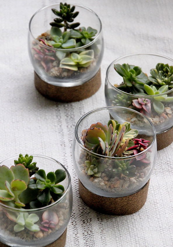 this adorable table setting doubles as a take home gift, flowers, gardening, seasonal holiday decor, succulents, terrarium