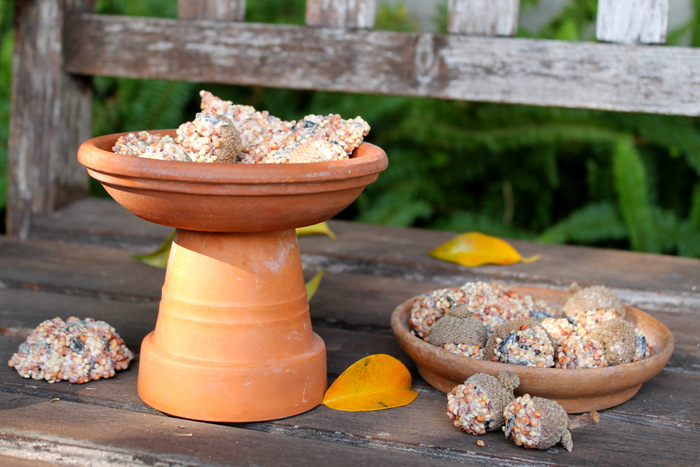 how to make an acorn cap birdseed cakes, crafts, outdoor living, pets animals