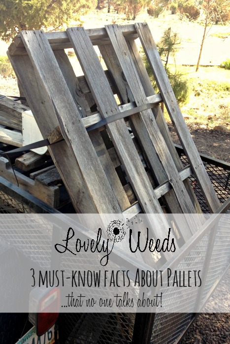must know facts about pallets, pallet