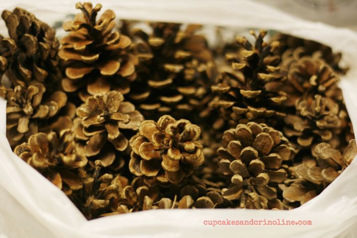 how to bleach pine cones, christmas decorations, crafts, how to, seasonal holiday decor