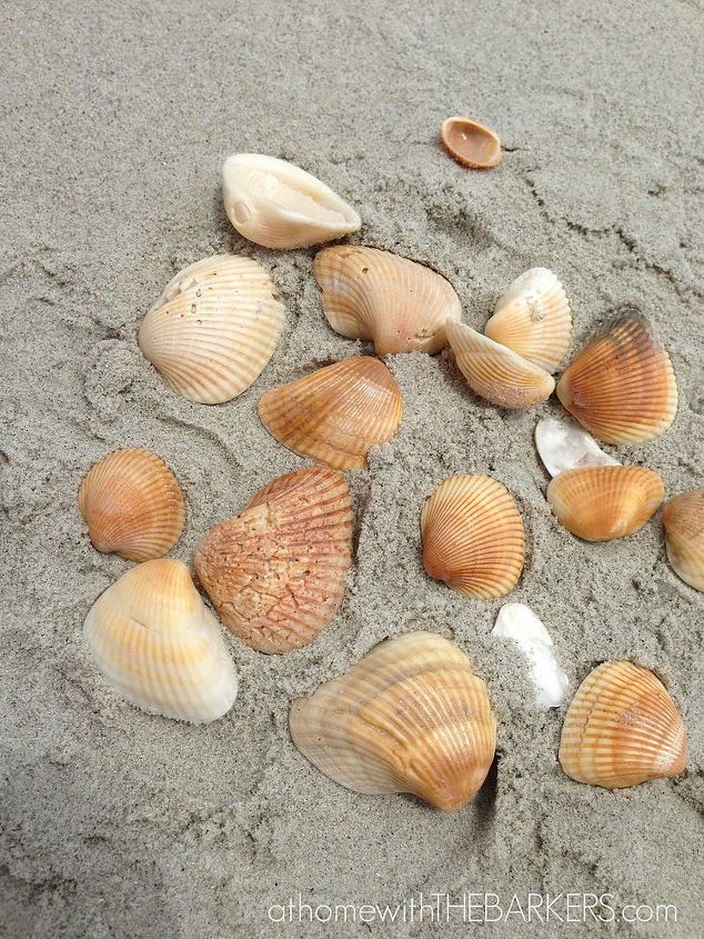 adornos de ngeles de concha de mar