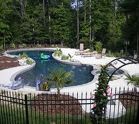 freeform oasis pool and spa in east hampton, outdoor living, pool designs, spas