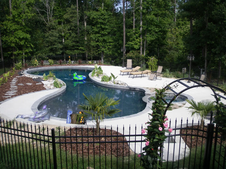 freeform oasis pool and spa in east hampton, outdoor living, pool designs, spas