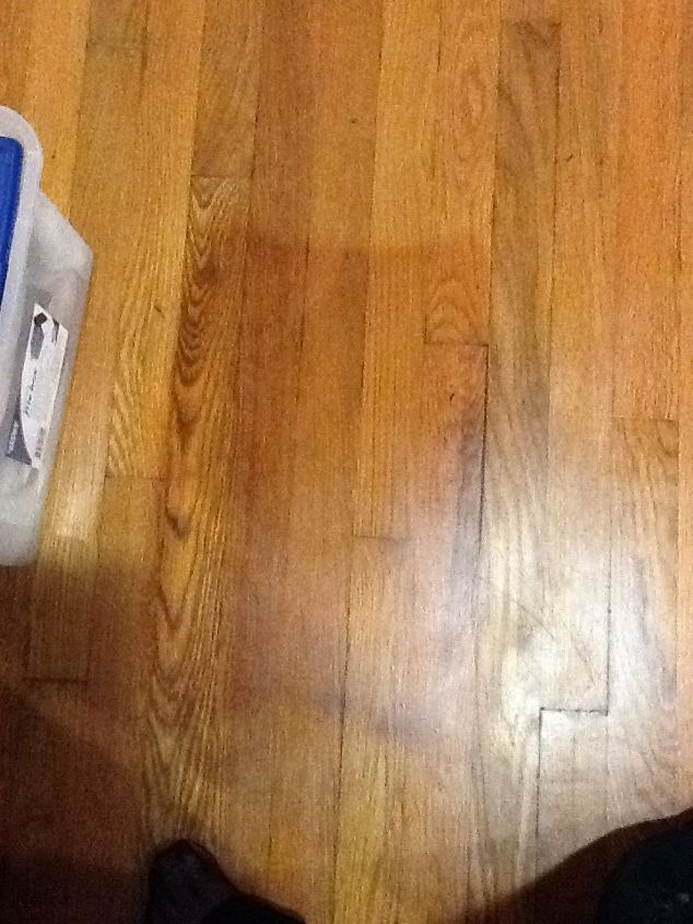 How Do I Get A Large Urine Stain Out Of, Sanding Cat Urine Out Of Hardwood Floor