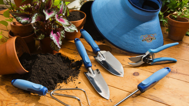 top 10 ferramentas de jardinagem que voc deve ter para a manuteno do gramado