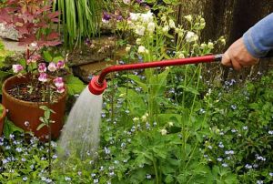 gardening tools you must have for your lawn maintenanc, gardening, lawn care, tools