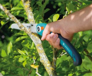 las 10 mejores herramientas de jardinera que debe tener para el mantenimiento de su