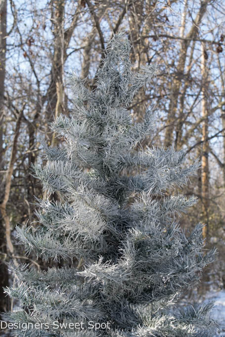 spray painted christmas tree, christmas decorations, home decor, painting, seasonal holiday decor