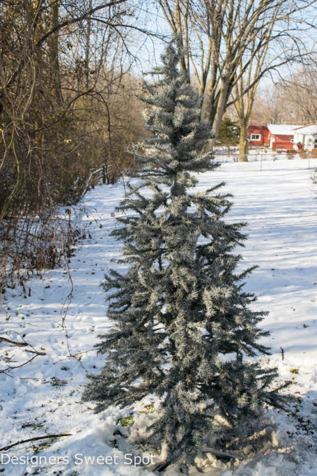 spray painted christmas tree, christmas decorations, home decor, painting, seasonal holiday decor