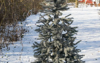Spray Painted Christmas Tree | Flocked Christmas Tree
