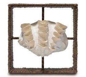 q how to make framed sea shell art, crafts, diy, how to, wall decor, Framed shell How to make the sticks go away