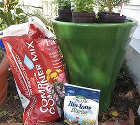 container gardening tips for winter, container gardening, gardening