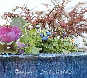 container gardening tips for winter, container gardening, gardening