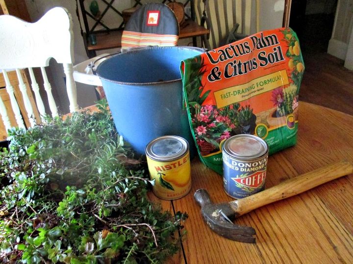 creative containers for succulents, container gardening, flowers, gardening, repurposing upcycling, succulents, Supplies for creating containers