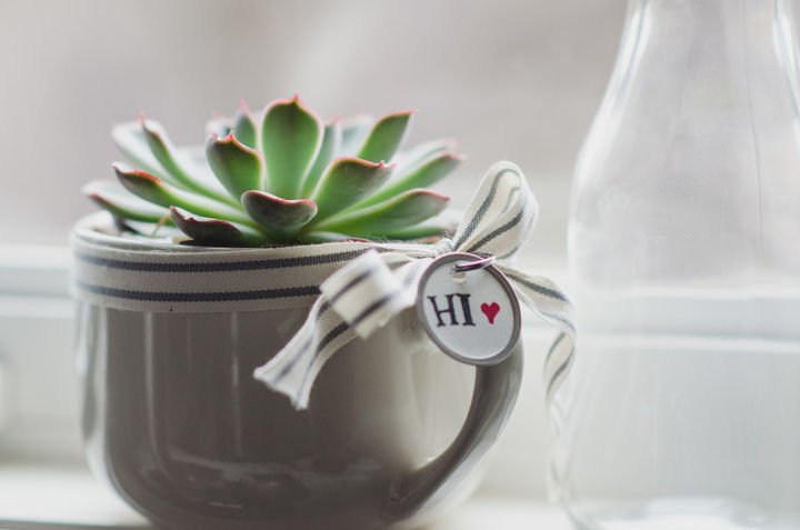 los 5 mejores artculos para hacer regalos personalizados, suculenta en una taza cinta etiqueta sello de letras