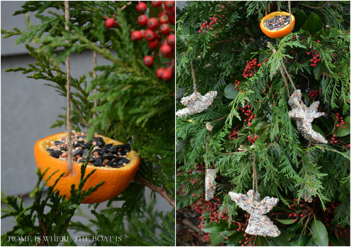 how to make a tree for the birds with bird seed treats, christmas decorations, outdoor living, pets animals, seasonal holiday decor