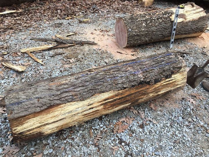 how to make a bench from a log, outdoor furniture, outdoor living, repurposing upcycling, woodworking projects