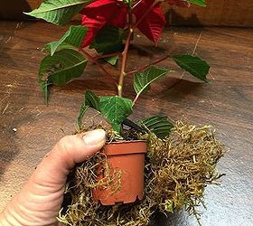 how to make holiday mason jar centerpiece, christmas decorations, crafts, flowers, gardening, mason jars, repurposing upcycling, seasonal holiday decor