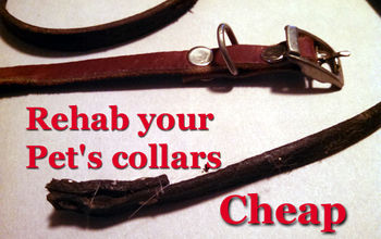 Rehab Your Pet's Collars Cheap