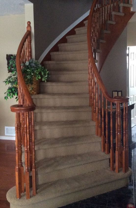 stained carpet on curved staircase, Nice focal point but not with grundgy carpet