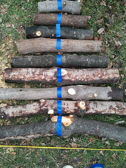 rvore de natal diy feita de troncos ou galhos