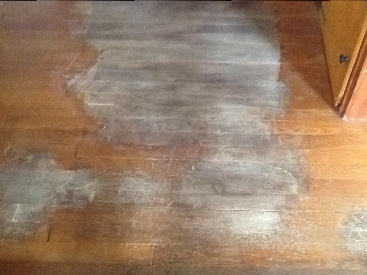 removing dog urine stains from hardwood floors, This is how it currently looks I haven t washed it or oiled it