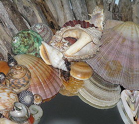 starburst driftwood shell mirror, crafts, wall decor