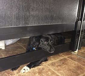 repurposing a twin headboard to a doggie gate, fences, pets animals, repurposing upcycling