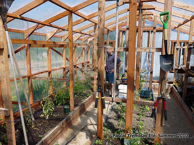 garden greenhouse indoor design layout ideas, gardening, home decor, outdoor living, Watering in greenhouse