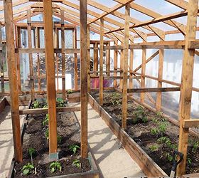 garden greenhouse indoor design layout ideas, gardening, home decor, outdoor living, DEsigning Greenhouse