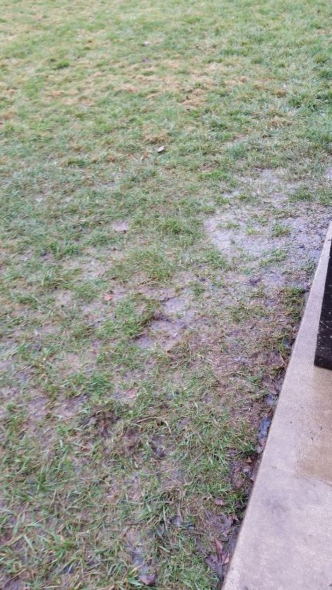 q what to do when grass is too wet, outdoor living, plumbing, The whole edge of the patio looks like this