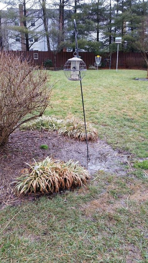 q what to do when grass is too wet, outdoor living, plumbing, More feeders