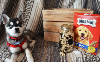 DIY Dog Treat Jar (a Container Store Knockoff)