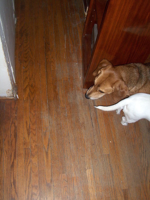 what color stain for the baseboards, Original floor was gouged and marked up