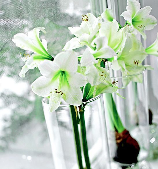 5 dicas incrivelmente fceis para adicionar branco de inverno sua decorao
