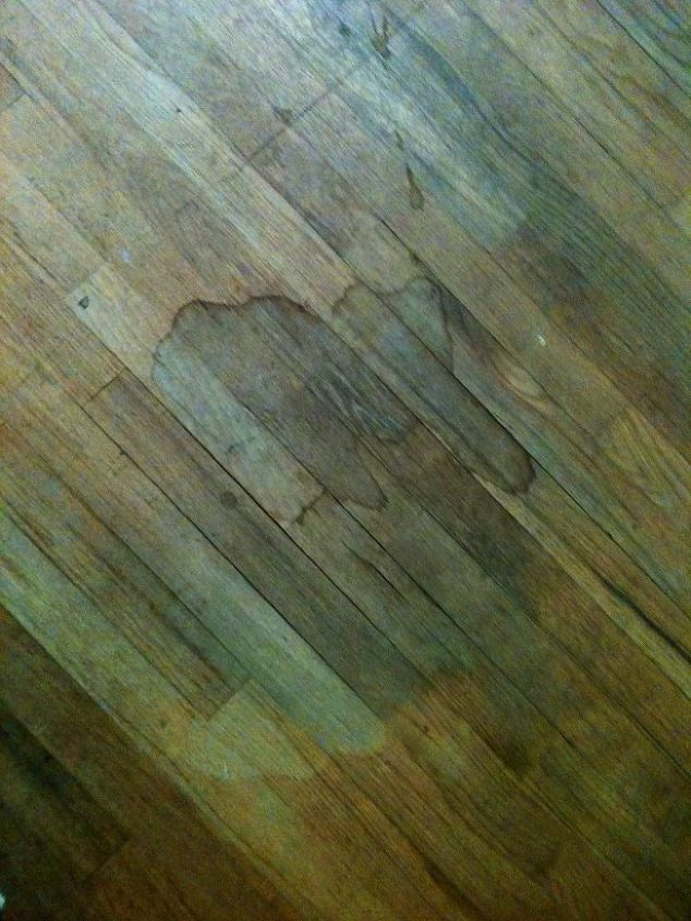 help we rented a home with sad wood floors what is the diy to fix, Spilled on