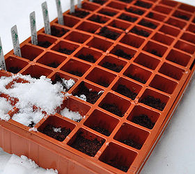 winter sowing seeds in the snow, gardening