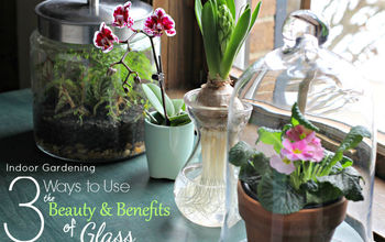  Jardinagem interna: 3 maneiras de usar a beleza e os benefícios do vidro