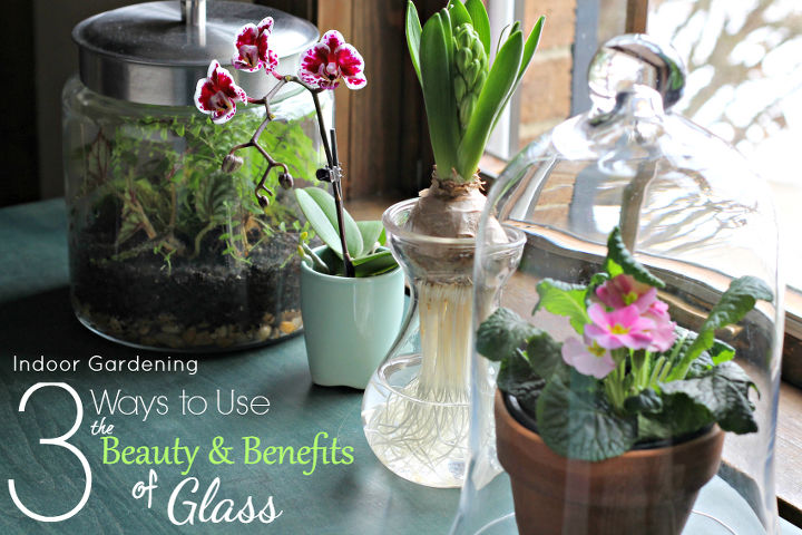 jardinagem interna 3 maneiras de usar a beleza e os benefcios do vidro