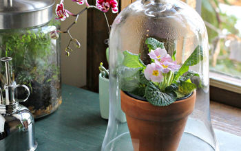 Gardening Indoors: 3 Ways to Use the Beauty & Benefit of Glass