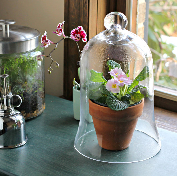 gardening indoors 3 ways to use the beauty benefit of glass, gardening, home decor