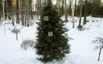 Recycled Christmas Tree Bird Feeder