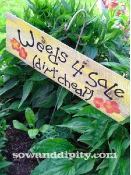 diy garden signs, crafts, gardening