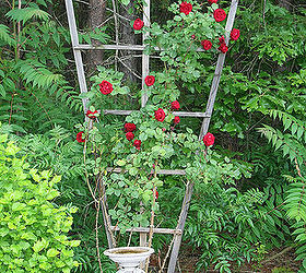 how to build a trellis for climbing roses, flowers, gardening, how to