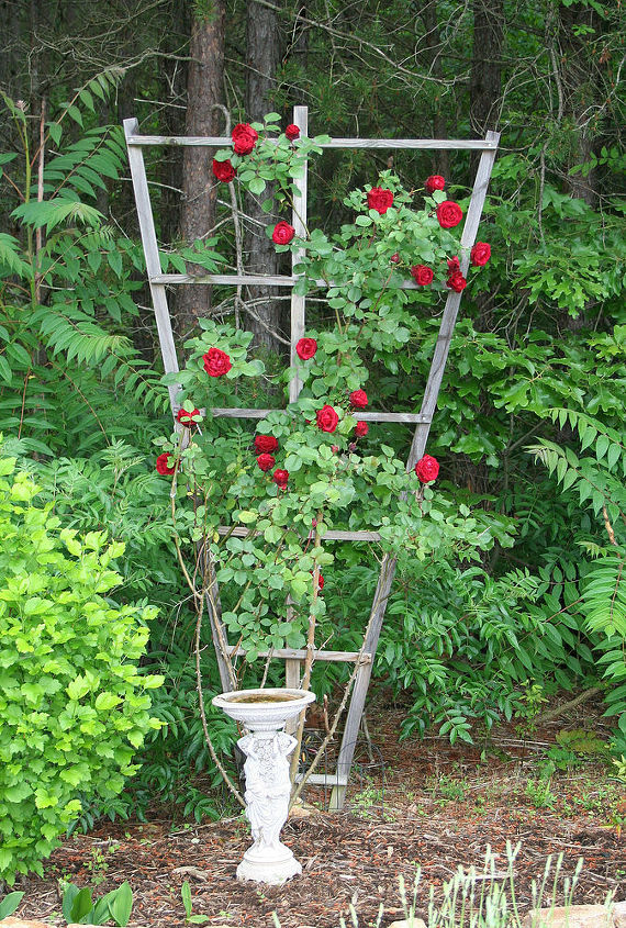 como construir uma trelia para escalar rosas