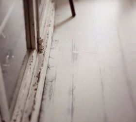 painting hard wood floor, flooring, how to, painting, AFTER