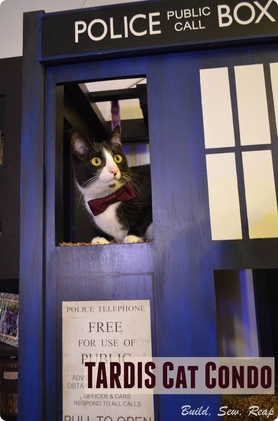 building a dr who cat home, how to, pets animals, woodworking projects