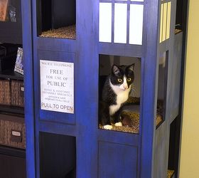building a dr who cat home, how to, pets animals, woodworking projects